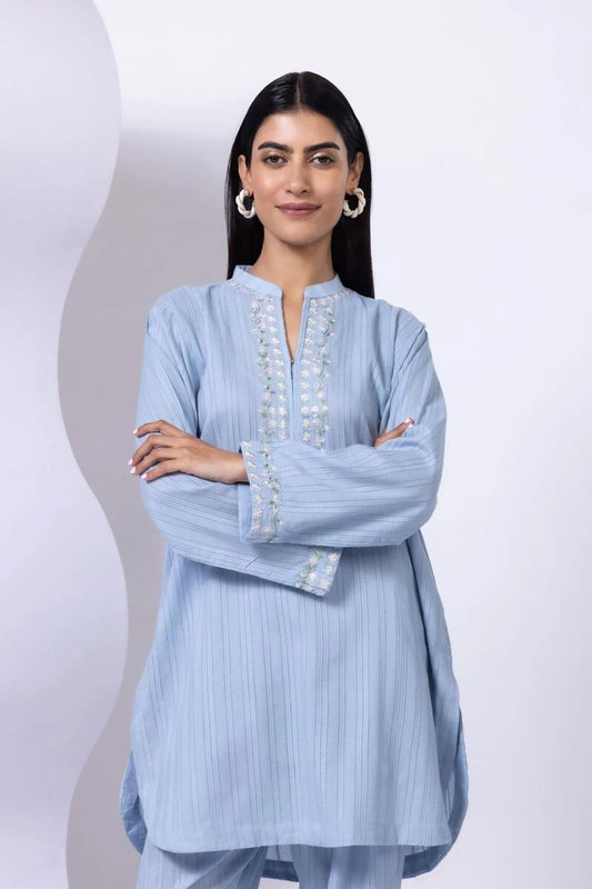 Embroidered | Leno Kurta