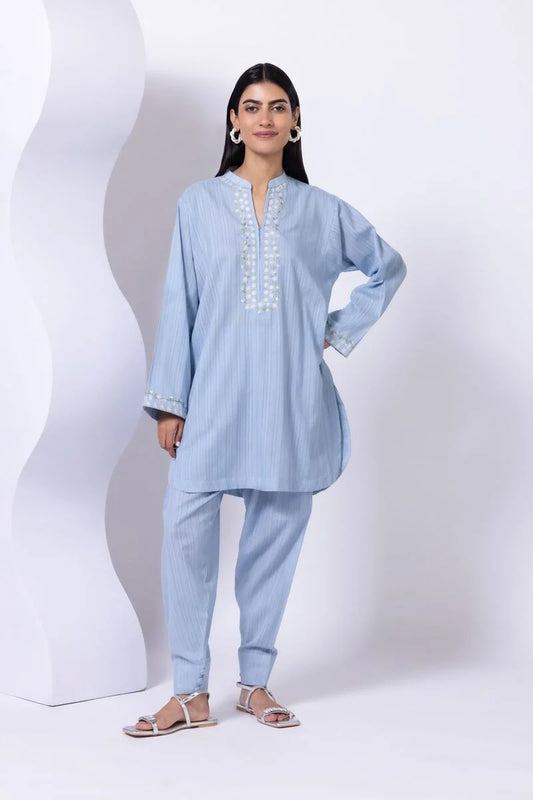 Embroidered | Leno Kurta