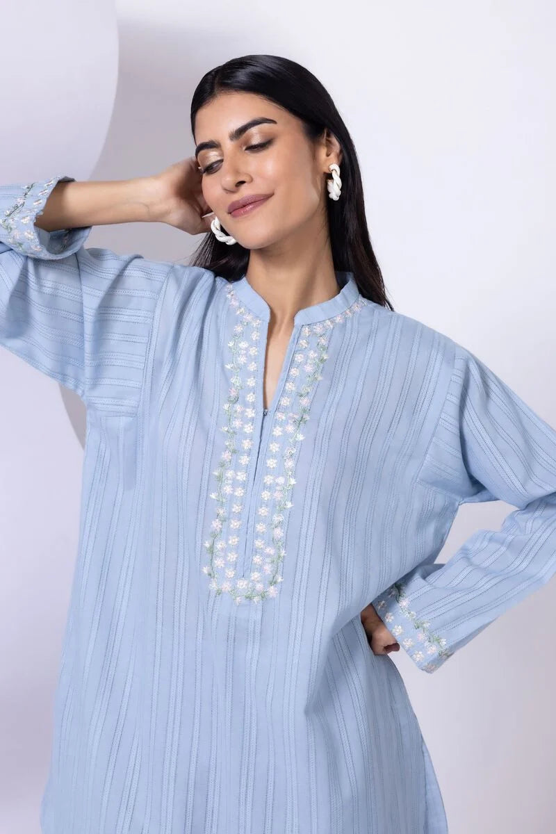 Embroidered | Leno Kurta
