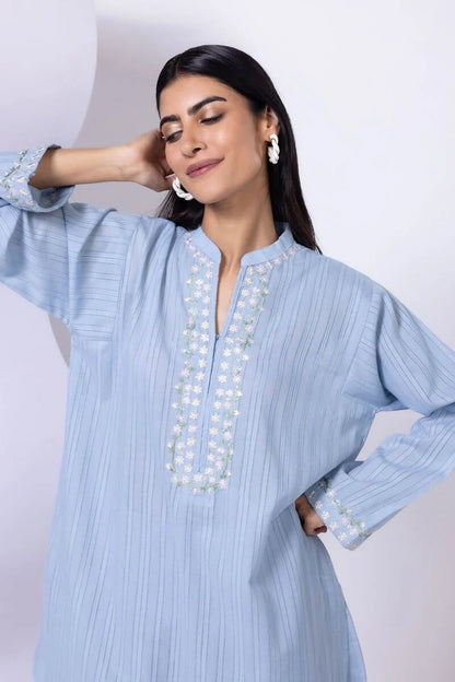 Embroidered | Leno Kurta