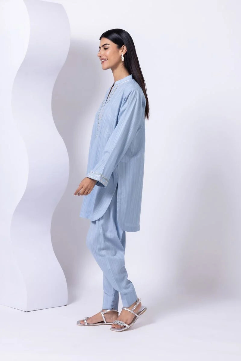 Embroidered | Leno Kurta