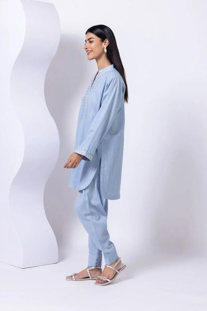 Embroidered | Leno Kurta