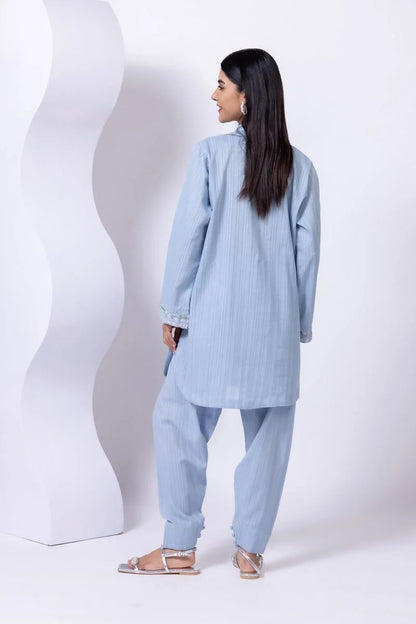 Embroidered | Leno Kurta